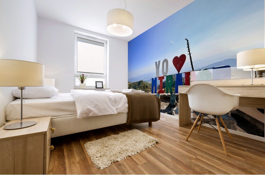 IMG 9703 Mural print