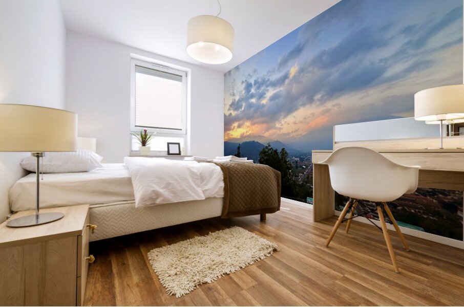 IMG 0501 Mural print