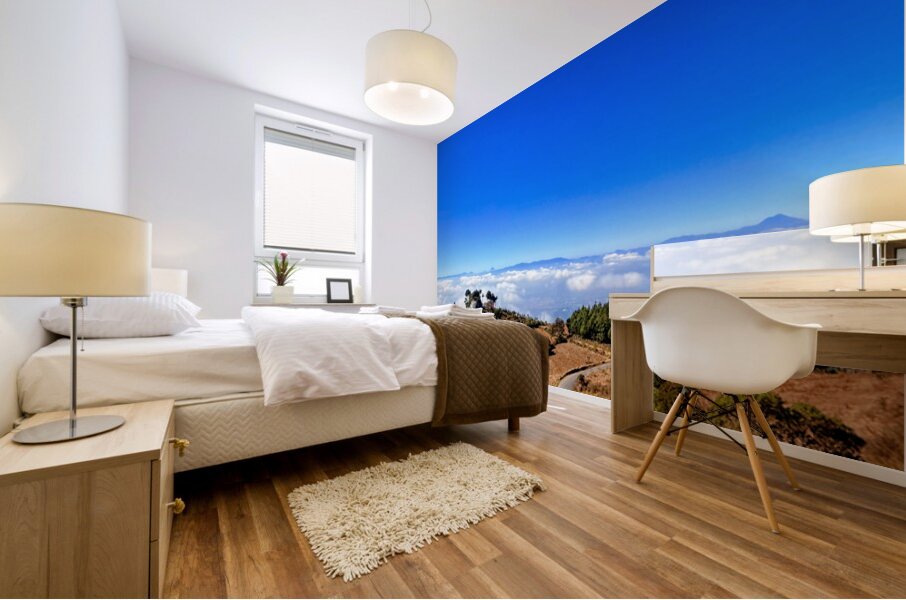 IMG 9134 EDIT Mural print