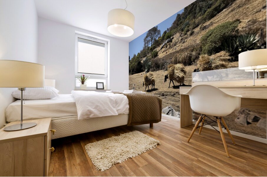 IMG 9558 Mural print