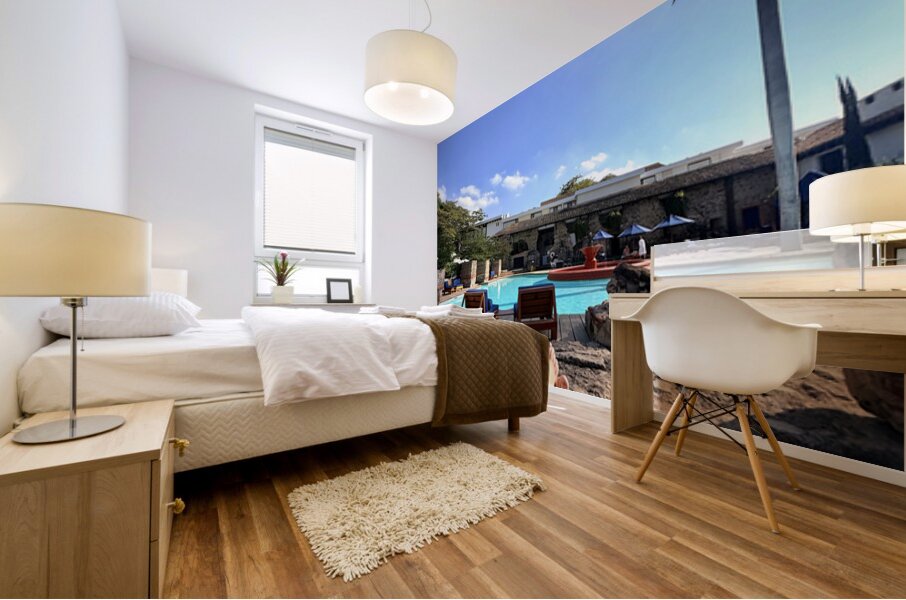 IMG 0340 Mural print