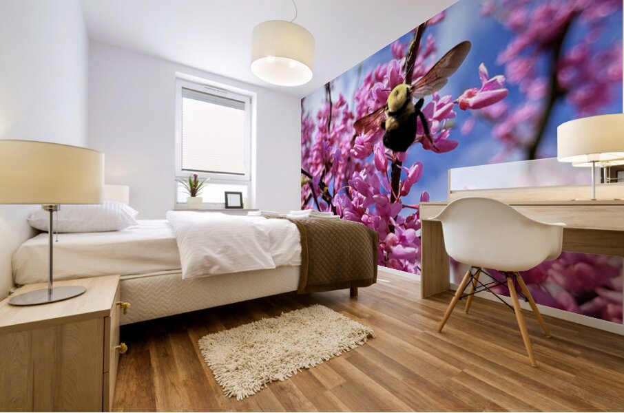 IMG 1683 Mural print