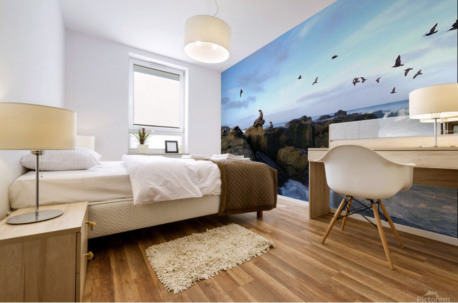 Seal Bird Watching 2 Mural print