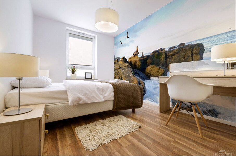 Seal Meditation Mural print