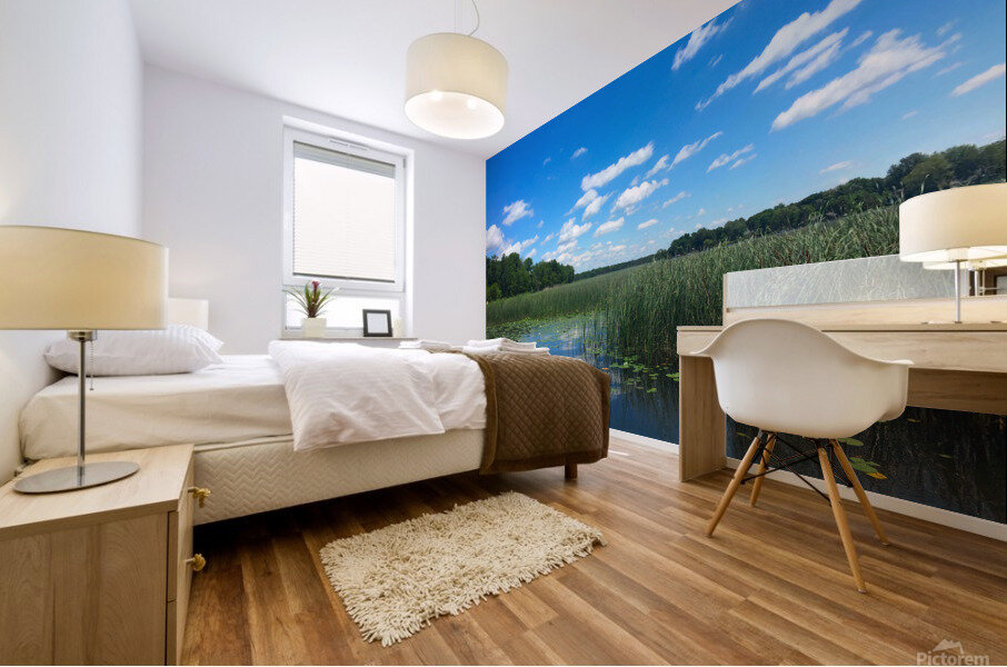 Blue By You Mural print