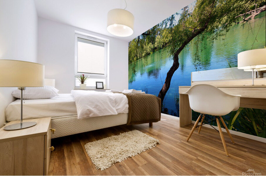 Pond Do  Mural print