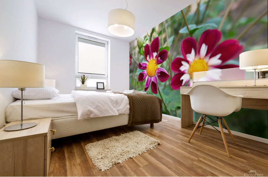 Flower Bloom 5B Mural print