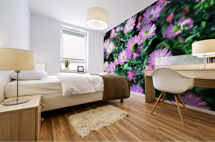 Pink Daisies 2C Mural print