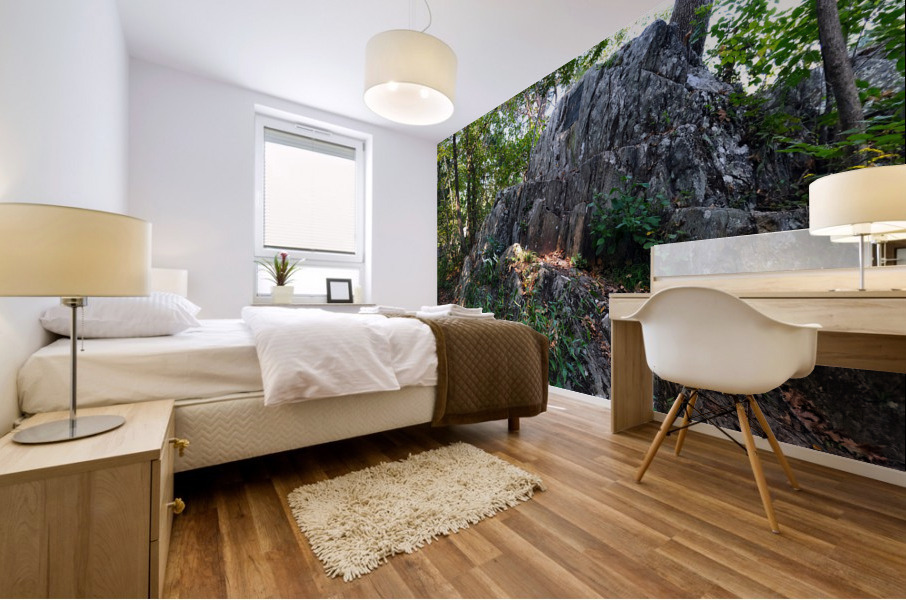 Just Rocking Life  Mural print