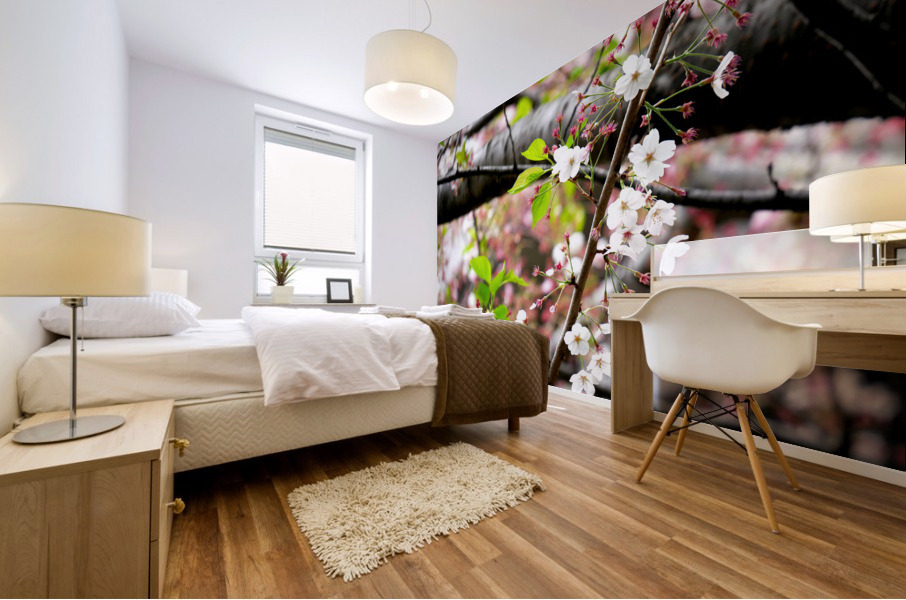 Cherry Blossom 2 Mural print