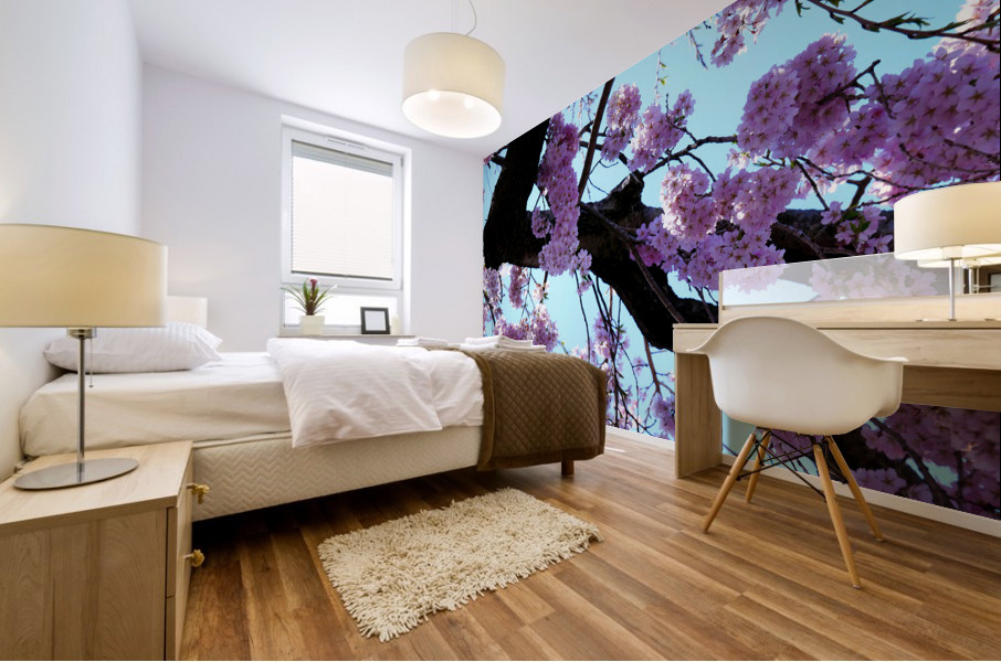 Cherry Blossom  Mural print