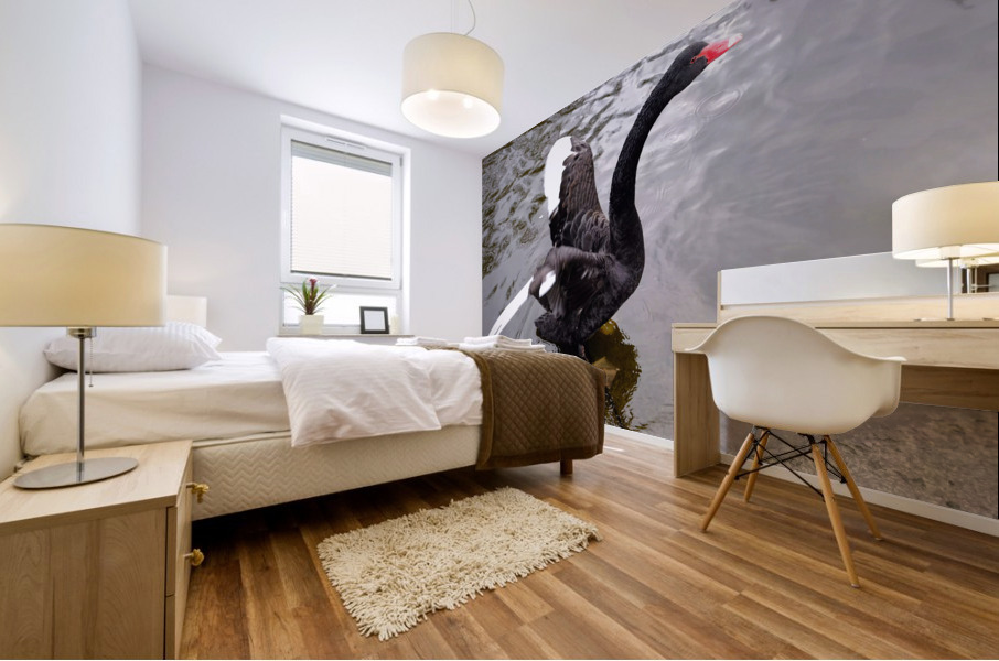 A Black Swan Moment 2 Mural print