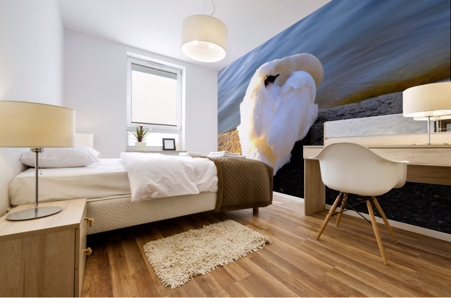 Wake Me Up Later Snoozing Swan  Mural print