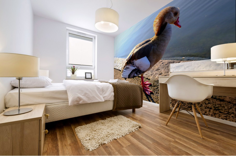 Duck Pose Mural print