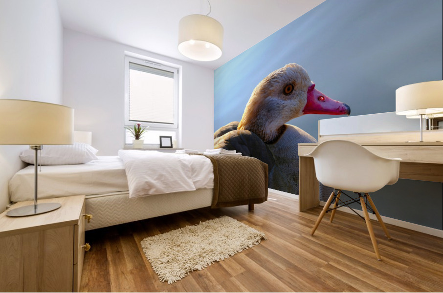 Duck Face Mural print