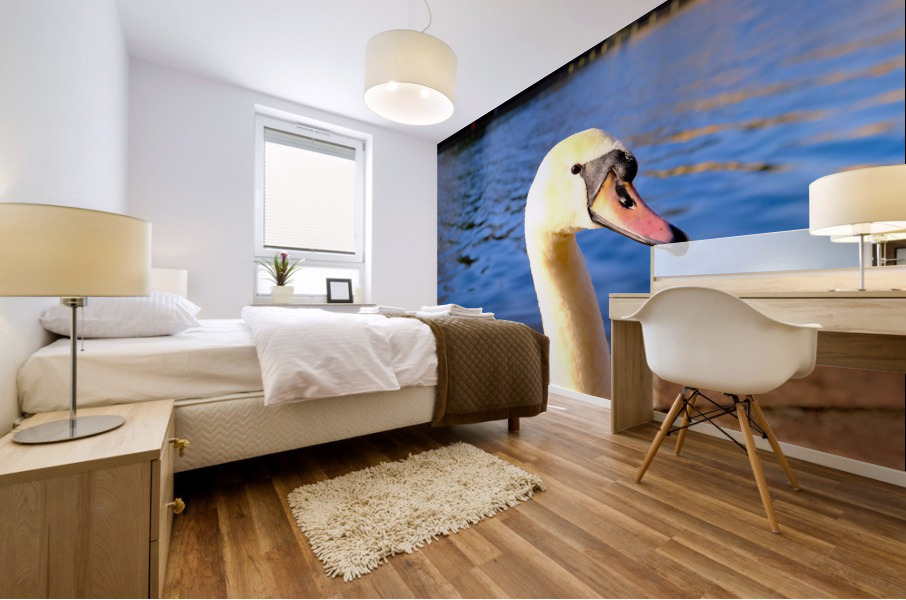 Graceful Swan by the River Mural print