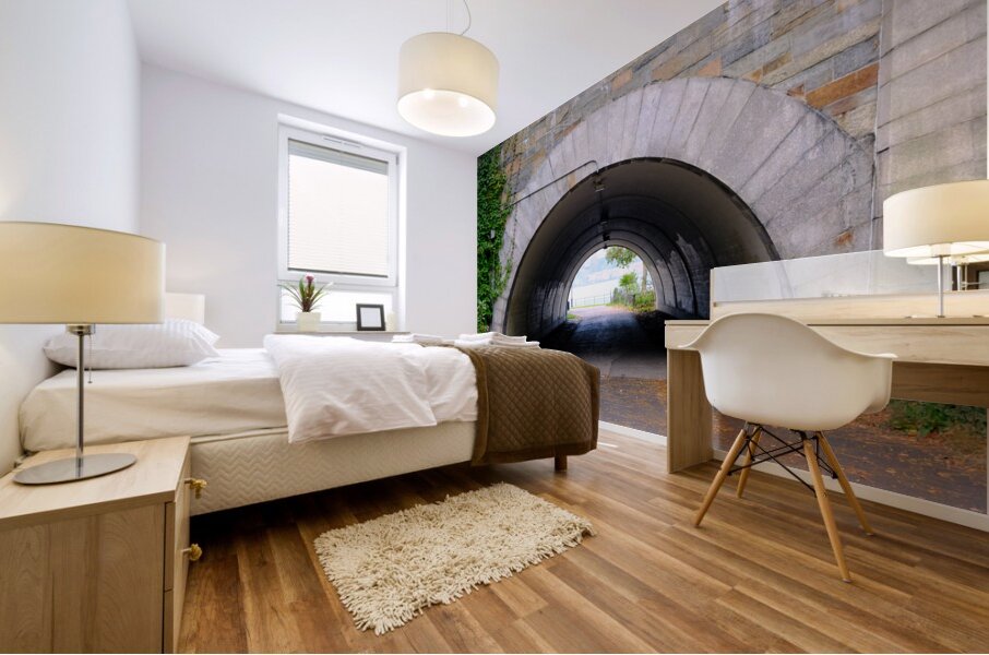 Vaulted Passage Mural print