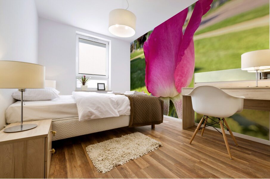 The Blush Before the Bloom Mural print