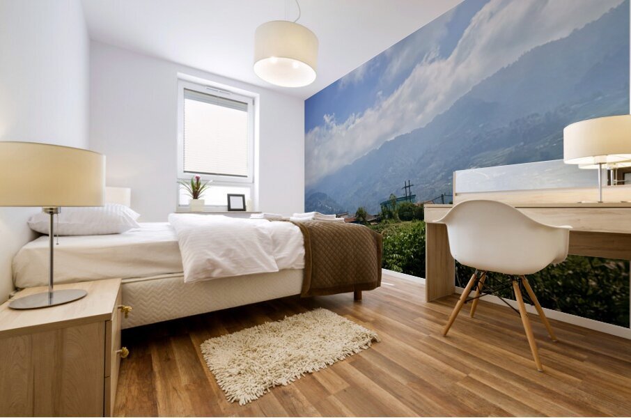 IMG 9268 Mural print