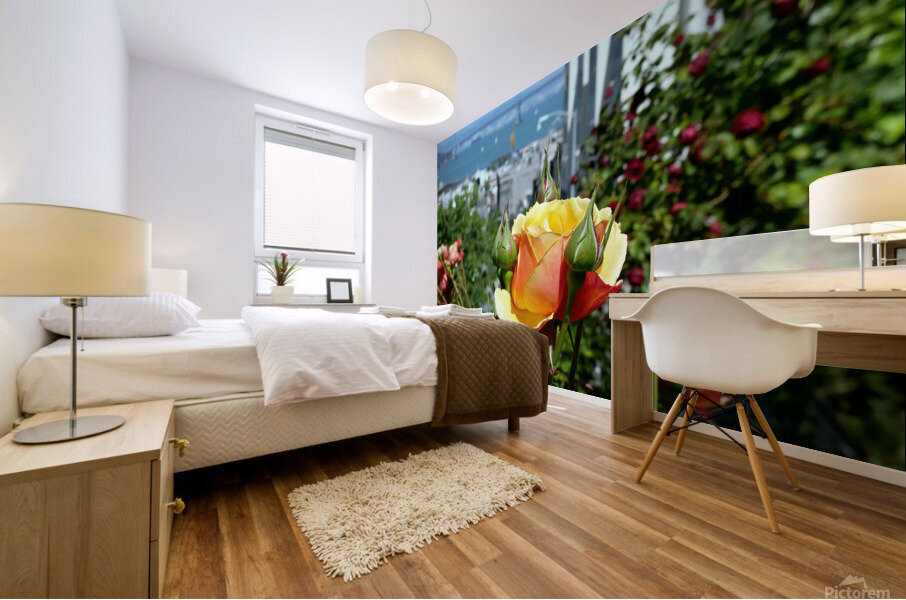 A City Rose Mural print