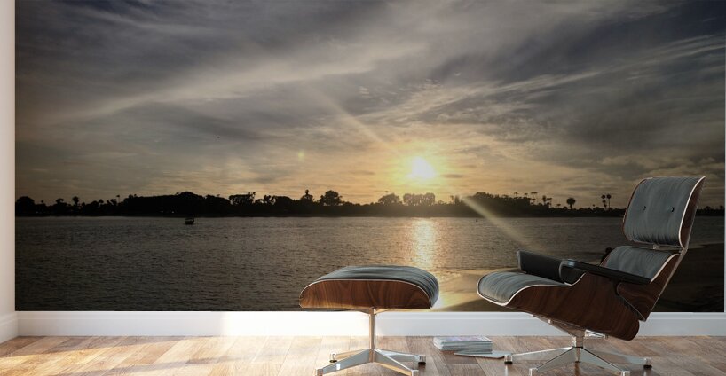 San Diego Sunset: A Horizon for the Mind Wall Murals