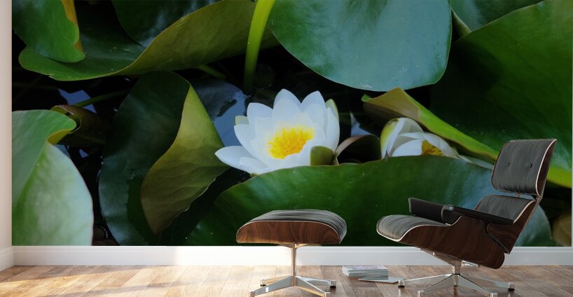 Shy Blossom in Green Embrace Wall Murals