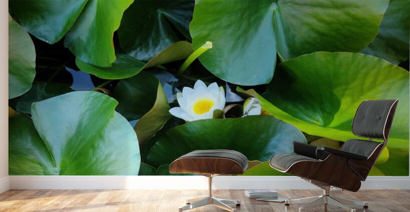 Lusty Lily: Beneath the Folds Wall Murals