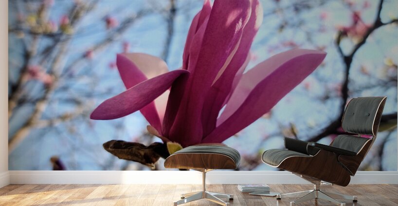 The Quiet Language of Petals Wall Murals