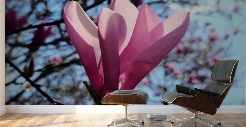 A Magnolia Moment in the Middle of Everything Wall Murals