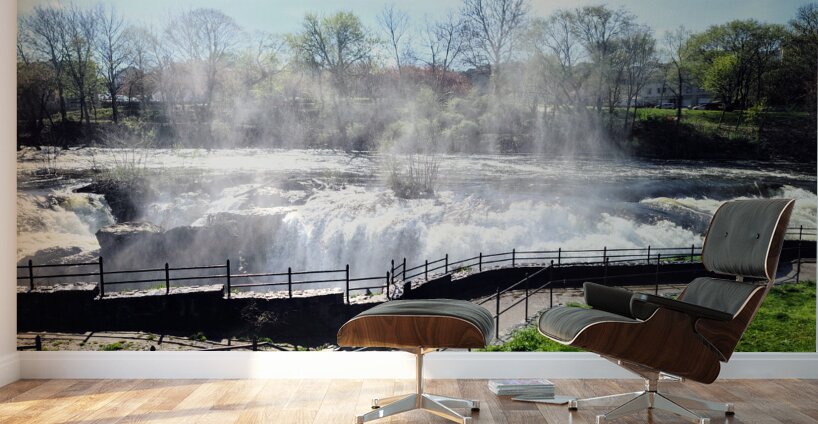 A Moment Between Moments at Paterson Great Falls Historic National Park Wall Murals