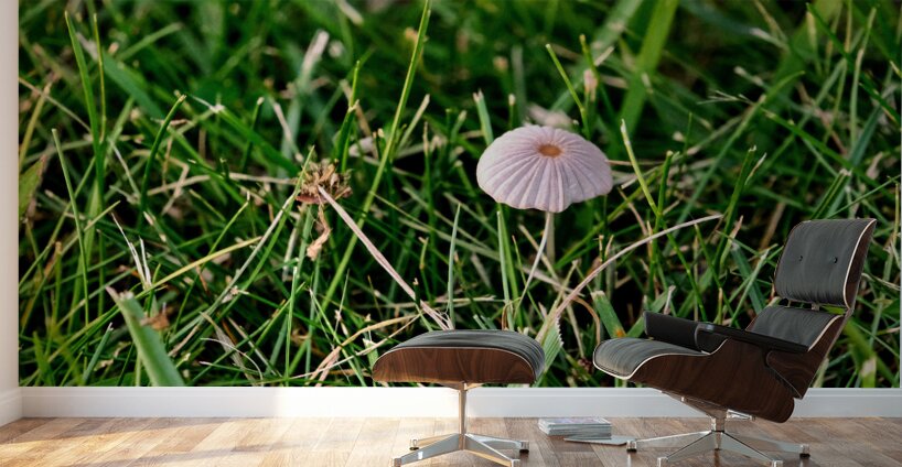 The Littlest Umbrella Wall Murals