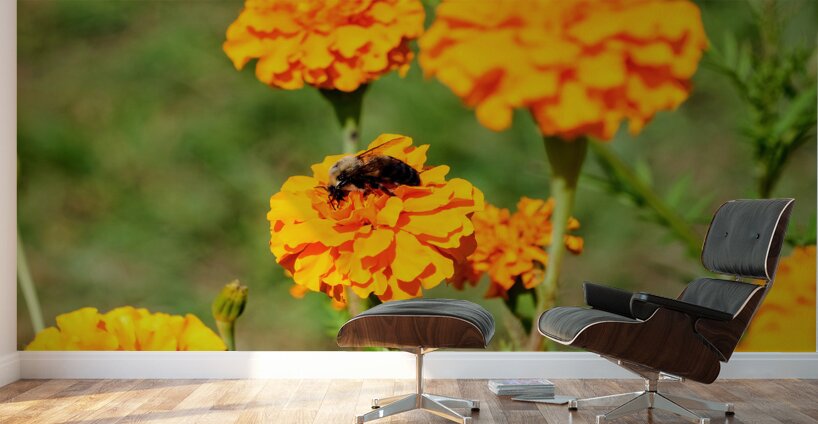 Bright Labors: Beneath the Fire of Petals Wall Murals