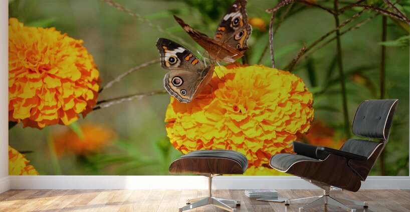 In Bloom and Flight: A Conversation in Color Wall Murals