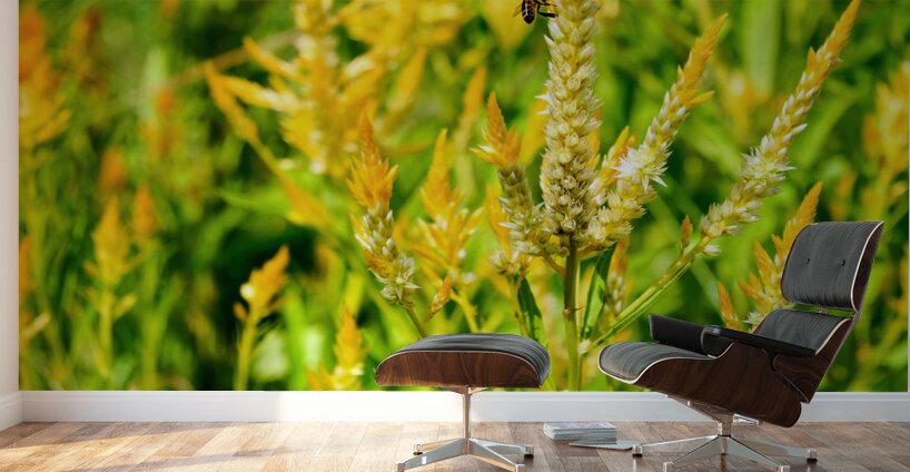 Yellow Wool Flower: Fields of Fire and Flight Wall Murals