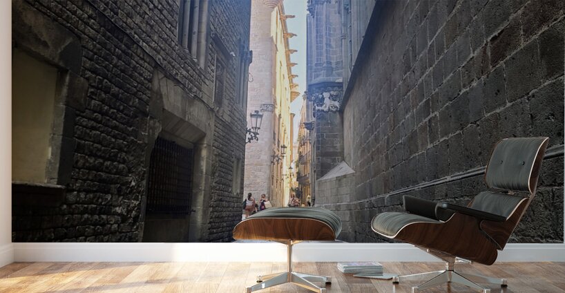 Streets of Barcelona: The Path of Quiet Stories Wall Murals
