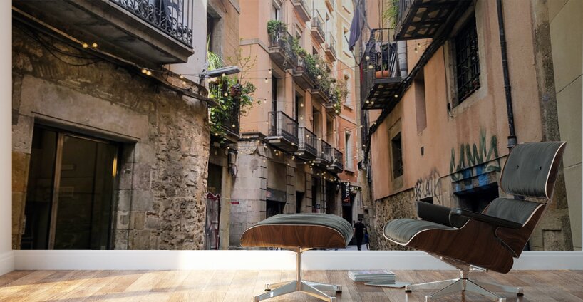 Streets of Barcelona: Where the Shadows Sleep Wall Murals