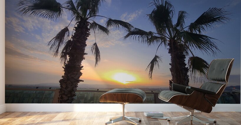 Palms Over the Skyline Wall Murals