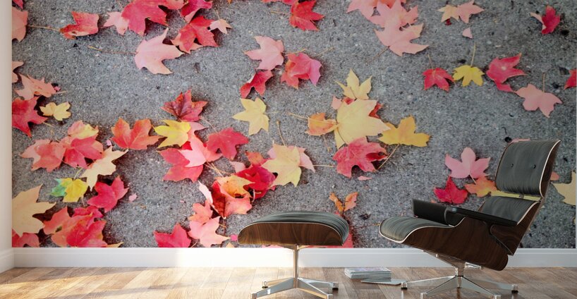 Colorful Fallen Beauties Wall Murals