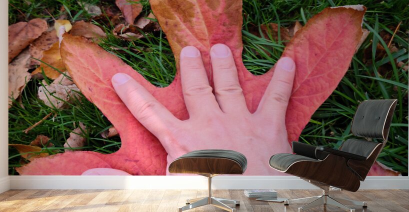 Holding Onto Fall : The Last Touch of Autumn Wall Murals