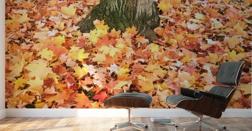 Leaves Me Stumped: Rooted in Color Wall Murals