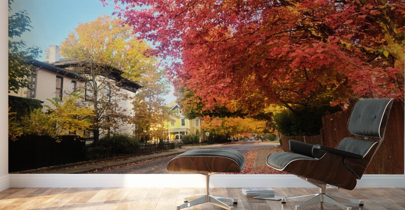 Fall Over the Fence - Autumn’s Embrace  Wall Murals