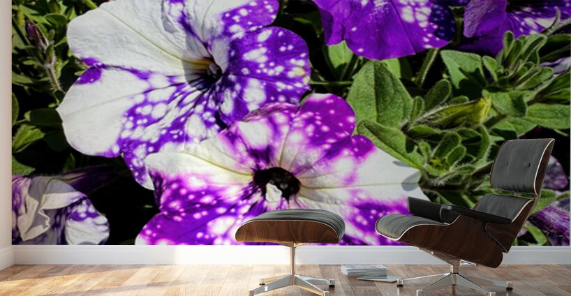 Starlight in Bloom Wall Murals