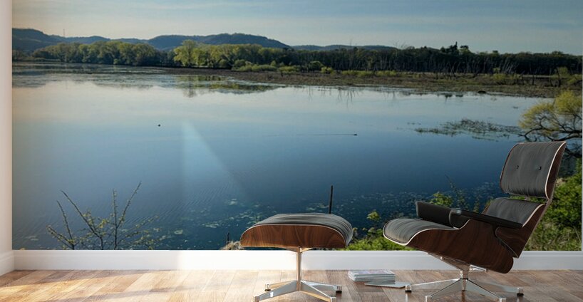 Serene Lakeside View with Forest and Hills Wall Murals
