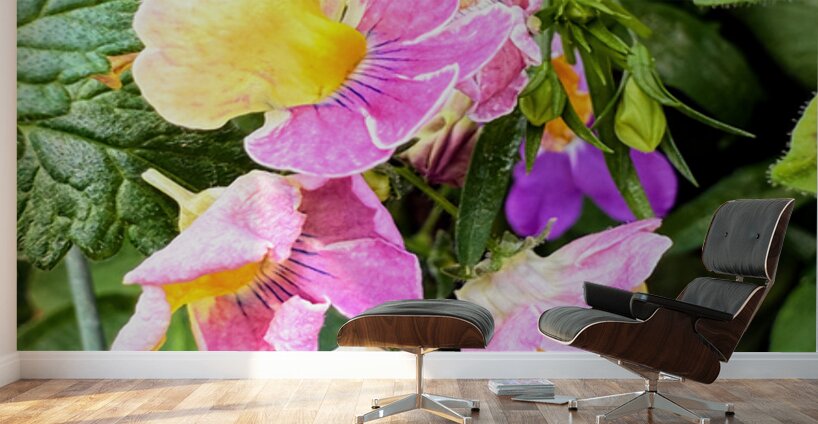 Vibrant Garden Bloom – Colorful Flower Close-Up with Lush Greenery-2 Wall Murals