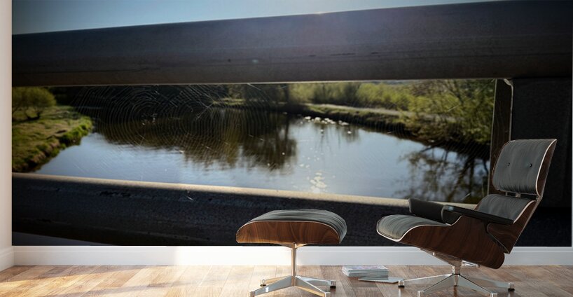 Spider Web on Bridge at Sunrise – Nature Framed in Stillness 1 Wall Murals