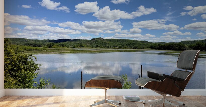 Serenity on the Surface Wall Murals