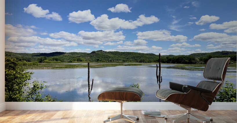 Into the Wild Blue Wall Murals