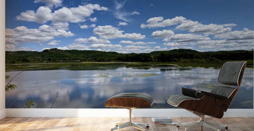 Cloud Watching by the Lake Wall Murals