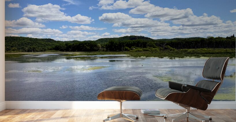 Sky Echoes Wall Murals