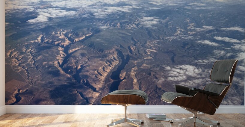 Earths EKG: The Veins of Utah Wall Murals